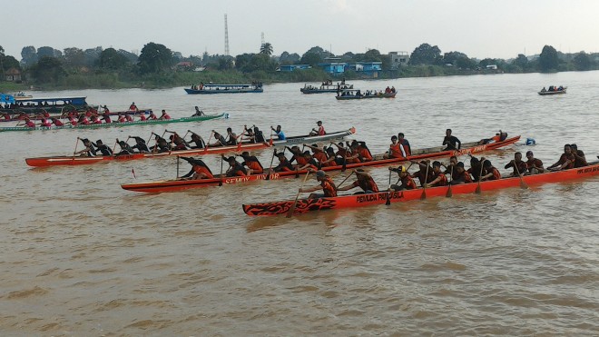 Lomba Pecu Parahu, Yang Akan Meriahkan HUT Provinsi Jambi
